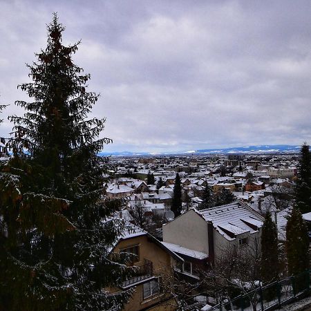 Flori'S Apartment Braşov Dış mekan fotoğraf